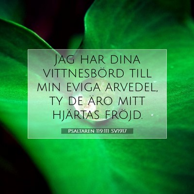 Picture 07 - Psaltaren 119:111 SV1917 - Jag har dina vittnesbörd till min eviga arvedel, - Bible Verse Picture