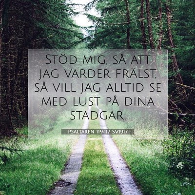 Picture 07 - Psaltaren 119:117 SV1917 - Stöd mig, så att jag varder frälst, så vill - Bible Verse Picture