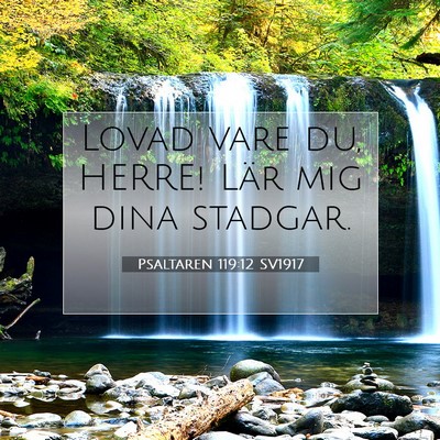 Picture 07 - Psaltaren 119:12 SV1917 - Lovad vare du, HERRE! Lär mig dina - Bible Verse Picture