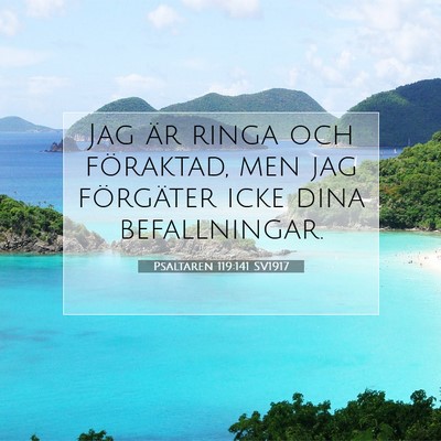 Picture 07 - Psaltaren 119:141 SV1917 - Jag är ringa och föraktad, men jag förgäter - Bible Verse Picture
