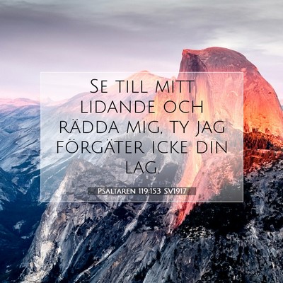 Picture 07 - Psaltaren 119:153 SV1917 - Se till mitt lidande och rädda mig, ty jag - Bible Verse Picture