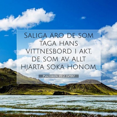 Picture 07 - Psaltaren 119:2 SV1917 - Saliga äro de som taga hans vittnesbörd i akt, - Bible Verse Picture