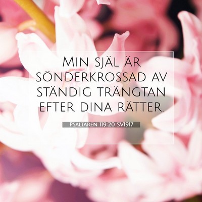Picture 07 - Psaltaren 119:20 SV1917 - Min själ är sönderkrossad av ständig - Bible Verse Picture