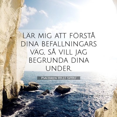 Picture 07 - Psaltaren 119:27 SV1917 - Lär mig att förstå dina befallningars väg, - Bible Verse Picture