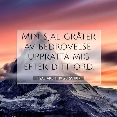 Picture 07 - Psaltaren 119:28 SV1917 - Min själ gråter av bedrövelse; upprätta mig - Bible Verse Picture