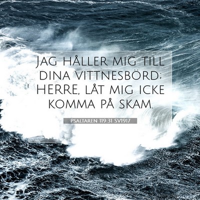 Picture 07 - Psaltaren 119:31 SV1917 - Jag håller mig till dina vittnesbörd; HERRE, - Bible Verse Picture
