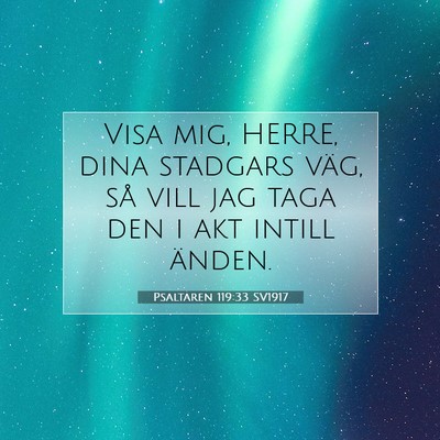 Picture 07 - Psaltaren 119:33 SV1917 - Visa mig, HERRE, dina stadgars väg, så vill jag - Bible Verse Picture
