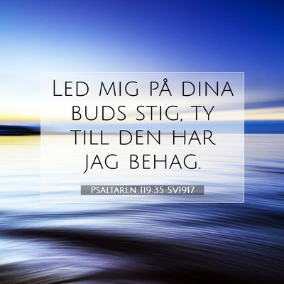 Picture 07 - Psaltaren 119:35 SV1917 - Led mig på dina buds stig, ty till den har jag - Bible Verse Picture
