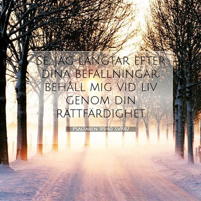 Picture 07 - Psaltaren 119:40 SV1917 - Se, jag längtar efter dina befallningar; behåll - Bible Verse Picture