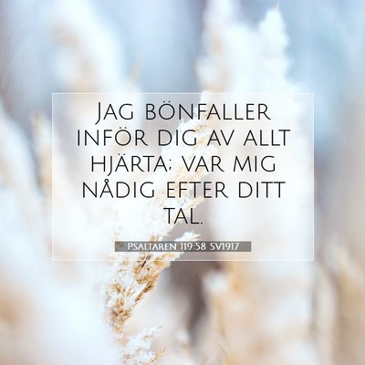 Picture 07 - Psaltaren 119:58 SV1917 - Jag bönfaller inför dig av allt hjärta; var - Bible Verse Picture