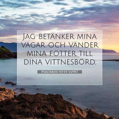 Picture 07 - Psaltaren 119:59 SV1917 - Jag betänker mina vägar och vänder mina - Bible Verse Picture