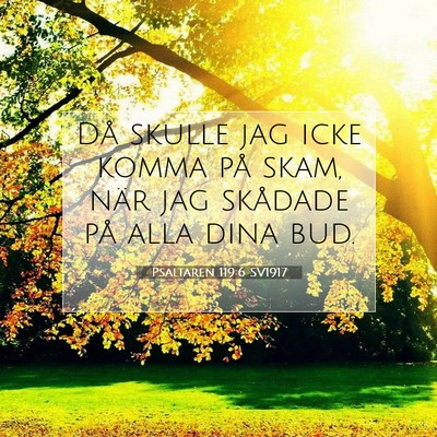 Picture 07 - Psaltaren 119:6 SV1917 - Då skulle jag icke komma på skam, när jag - Bible Verse Picture