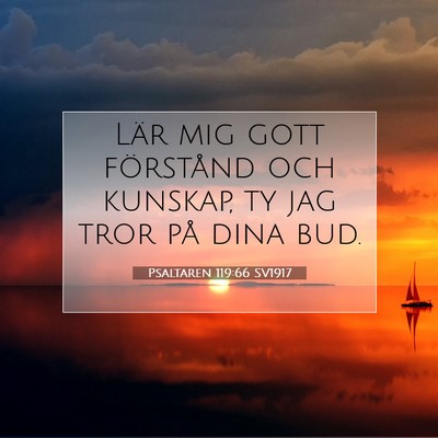Picture 07 - Psaltaren 119:66 SV1917 - Lär mig gott förstånd och kunskap, ty jag tror - Bible Verse Picture