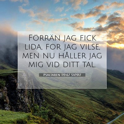 Picture 07 - Psaltaren 119:67 SV1917 - Förrän jag fick lida, for jag vilse, men nu - Bible Verse Picture