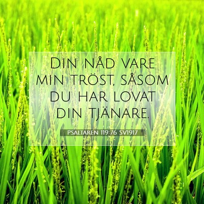 Picture 07 - Psaltaren 119:76 SV1917 - Din nåd vare min tröst, såsom du har lovat din - Bible Verse Picture