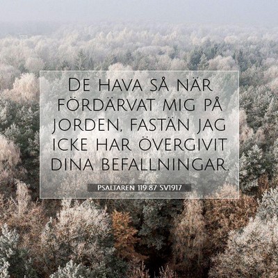 Picture 07 - Psaltaren 119:87 SV1917 - De hava så när fördärvat mig på jorden, - Bible Verse Picture