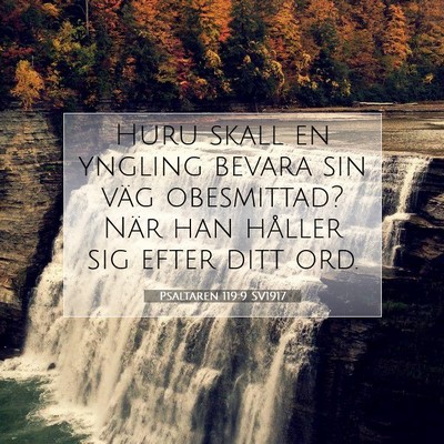 Picture 07 - Psaltaren 119:9 SV1917 - Huru skall en yngling bevara sin väg obesmittad? - Bible Verse Picture