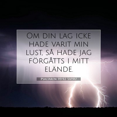 Picture 07 - Psaltaren 119:92 SV1917 - Om din lag icke hade varit min lust, så hade jag - Bible Verse Picture