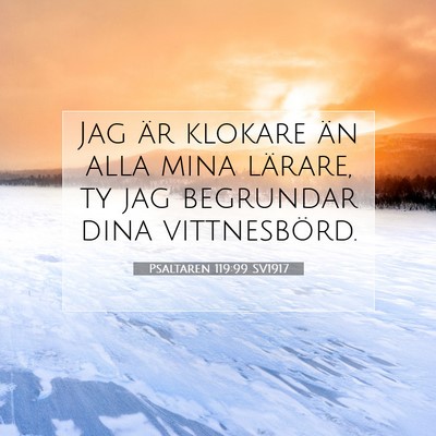Picture 07 - Psaltaren 119:99 SV1917 - Jag är klokare än alla mina lärare, ty jag - Bible Verse Picture