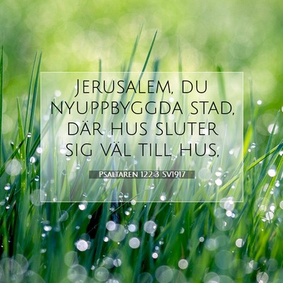 Picture 07 - Psaltaren 122:3 SV1917 - Jerusalem, du nyuppbyggda stad, där hus sluter - Bible Verse Picture