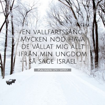 Picture 07 - Psaltaren 129:1 SV1917 - En vallfartssång. Mycken nöd hava de vållat - Bible Verse Picture