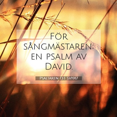 Picture 07 - Psaltaren 13:1 SV1917 - För sångmästaren; en psalm av - Bible Verse Picture
