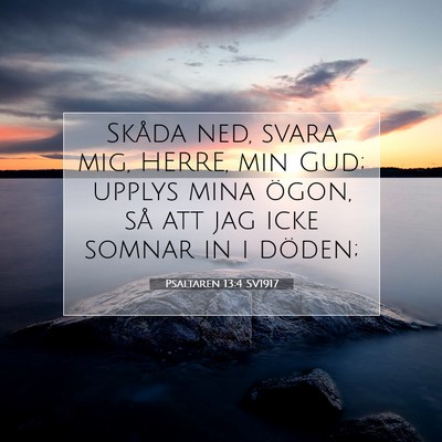 Picture 07 - Psaltaren 13:4 SV1917 - Skåda ned, svara mig, HERRE, min Gud; upplys - Bible Verse Picture