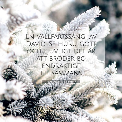 Picture 07 - Psaltaren 133:1 SV1917 - En vallfartssång; av David. Se huru gott och - Bible Verse Picture