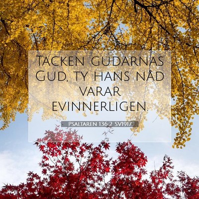 Picture 07 - Psaltaren 136:2 SV1917 - Tacken gudarnas Gud, ty hans nåd varar - Bible Verse Picture