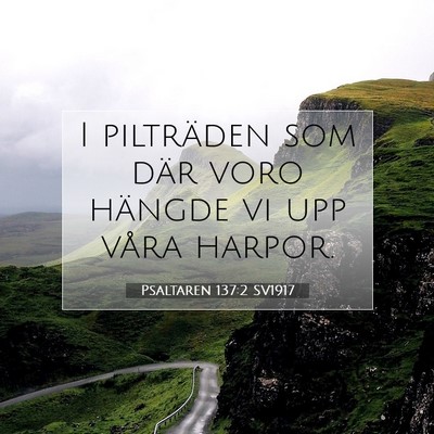 Picture 07 - Psaltaren 137:2 SV1917 - I pilträden som där voro hängde vi upp våra - Bible Verse Picture