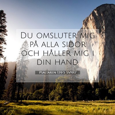 Picture 07 - Psaltaren 139:5 SV1917 - Du omsluter mig på alla sidor och håller mig i - Bible Verse Picture