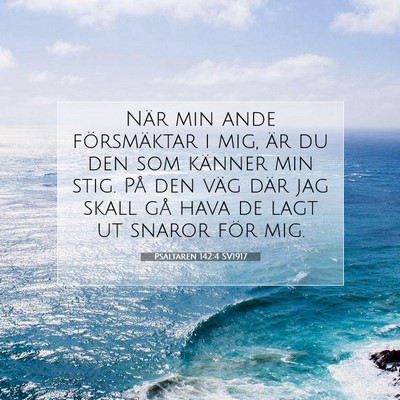 Picture 07 - Psaltaren 142:4 SV1917 - När min ande försmäktar i mig, är du den som - Bible Verse Picture