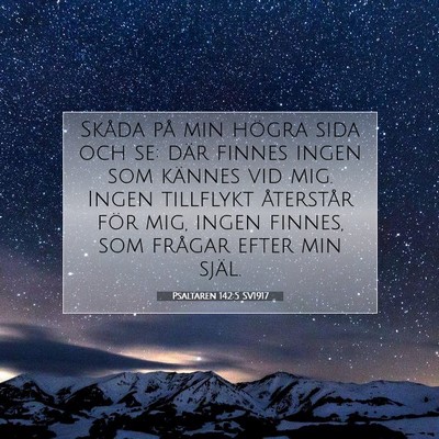 Picture 07 - Psaltaren 142:5 SV1917 - Skåda på min högra sida och se: där finnes - Bible Verse Picture