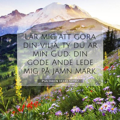 Picture 07 - Psaltaren 143:10 SV1917 - Lär mig att göra din vilja, ty du är min Gud; - Bible Verse Picture