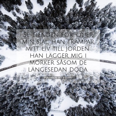 Picture 07 - Psaltaren 143:3 SV1917 - Se, fienden förföljer min själ, han trampar - Bible Verse Picture