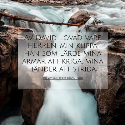Picture 07 - Psaltaren 144:1 SV1917 - Av David. Lovad vare HERREN, min klippa, han som - Bible Verse Picture