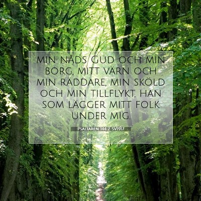 Picture 07 - Psaltaren 144:2 SV1917 - min nåds Gud och min borg, mitt värn och min - Bible Verse Picture