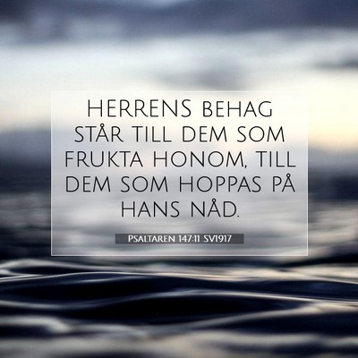 Picture 07 - Psaltaren 147:11 SV1917 - HERRENS behag står till dem som frukta honom, - Bible Verse Picture