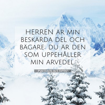 Picture 07 - Psaltaren 16:5 SV1917 - HERREN är min beskärda del och bägare; du är - Bible Verse Picture