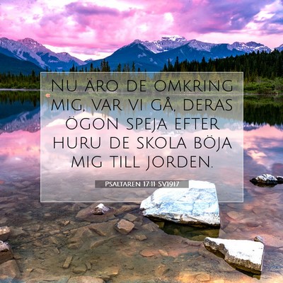 Picture 07 - Psaltaren 17:11 SV1917 - Nu äro de omkring mig, var vi gå, deras ögon - Bible Verse Picture