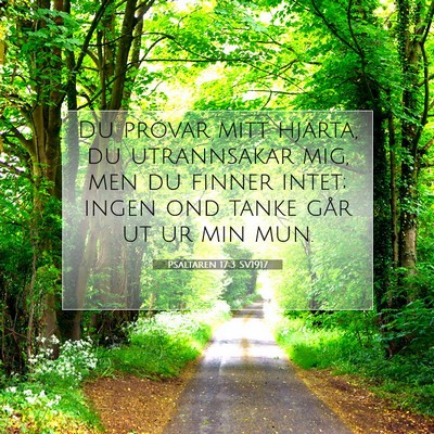 Picture 07 - Psaltaren 17:3 SV1917 - Du prövar mitt hjärta, du utrannsakar mig, men - Bible Verse Picture