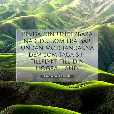 Picture 07 - Psaltaren 17:7 SV1917 - Bevisa din underbara nåd, du som frälsar undan - Bible Verse Picture