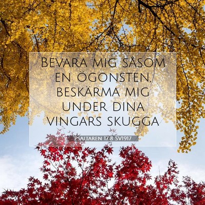 Picture 07 - Psaltaren 17:8 SV1917 - Bevara mig såsom en ögonsten, beskärma mig - Bible Verse Picture