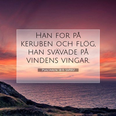 Picture 07 - Psaltaren 18:11 SV1917 - Han for på keruben och flög, han svävade på - Bible Verse Picture