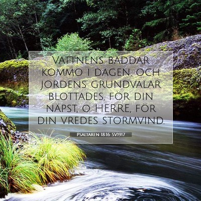 Picture 07 - Psaltaren 18:16 SV1917 - Vattnens bäddar kommo i dagen, och jordens - Bible Verse Picture