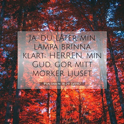 Picture 07 - Psaltaren 18:29 SV1917 - Ja, du låter min lampa brinna klart; HERREN, min - Bible Verse Picture