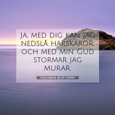 Picture 07 - Psaltaren 18:30 SV1917 - Ja, med dig kan jag nedslå härskaror, och med - Bible Verse Picture