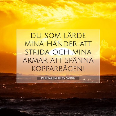 Picture 07 - Psaltaren 18:35 SV1917 - du som lärde mina händer att strida och mina - Bible Verse Picture