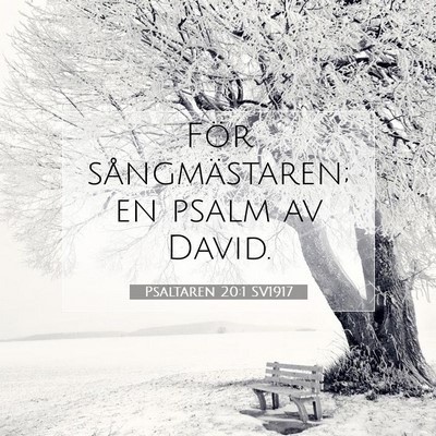 Picture 07 - Psaltaren 20:1 SV1917 - För sångmästaren; en psalm av - Bible Verse Picture