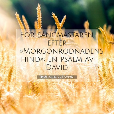 Picture 07 - Psaltaren 22:1 SV1917 - För sångmästaren, efter »Morgonrodnadens - Bible Verse Picture